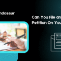Can you file an EB1A petition on your own?