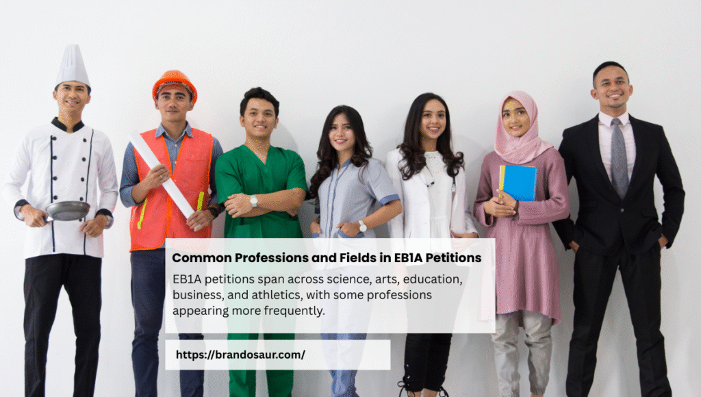 common professions and fields in EB1A petitions